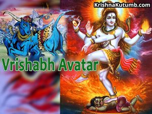 Vrishabh Avatar of Shiva - Krishna Kutumb